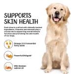 High Quality Pet Health Products Comprehensively Improve Pets' Immune and Digestive Abilities