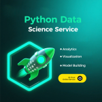 定制Python开发服务为电子商务大数据项目提供量身定制的企业解决方案24/7支持