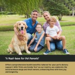 High Quality Pet Health Products Comprehensively Improve Pets' Immune and Digestive Abilities