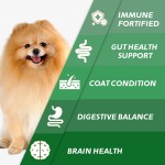 定制狗免疫和过敏支持咀嚼片减少瘙痒和舔平衡肠道健康