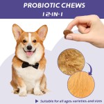 宠物元定制支持健康消化犬天然补充剂促进肠道健康消化和免疫健康益生菌