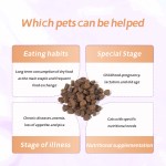 宠物元私人标签益生菌粉消化健康补充狗益生菌宠物补充狗益生菌
