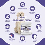 批发每日健康补充剂和咀嚼片猫和狗12种益生菌，以保护宠物健康