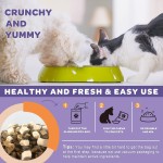 High Quality Pet Health Products Comprehensively Improve Pets' Immune and Digestive Abilities