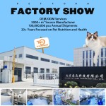 宠物元定制支持健康消化犬天然补充剂促进肠道健康消化和免疫健康益生菌