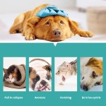 Factory Direct Price Diarrhea Nutrient Solution Pet Nutritional Supplement Pet Nutrition Solution
