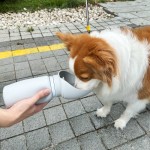 狗软硅胶便携式户外水瓶550ml可折叠大口径喂养杯密封和防漏饮水瓶
