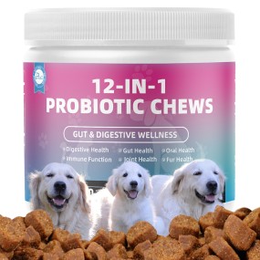 Pet Yuan Custom Support Health Digestive Dog Natural Supplement Promote Healiny Bowel Digestive and Immune Health Probiotics
