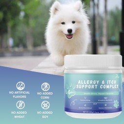 实用易于使用6合1过敏瘙痒支持复杂的宠物补充咀嚼狗猫每天