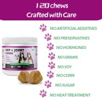 宠物园推广跨界猫狗健康产品宠物鱼髋关节葡萄糖胺软骨素