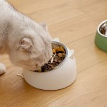 不锈钢倾斜宠物碗小圆形猫饲料颈部保护升高水和食物碗的狗和动物