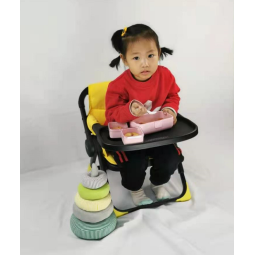 Baby Chair Manufacturer - Portable 2 in 1 Booster