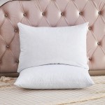 Pillowcase Factory - China Suppliers 100% Vinyl Modern