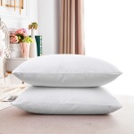 Pillow Protector Manufacturer - Wholesale Waterproof Zippered