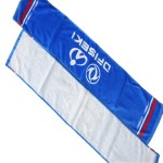 Jacquard Towel Supplier - Woven Cotton Terry Sports Sweat