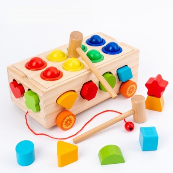 Educational Toy Factory - Kids Montessori Shape Matching