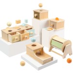 Early Learning Toy Supplier - Wooden Matching Activity Box