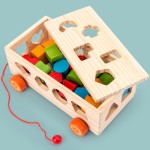 Educational Toy Factory - Kids Montessori Shape Matching