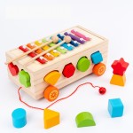 Educational Toy Factory - Kids Montessori Shape Matching