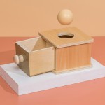 Wooden Toy Manufacturer - Tray Ball Drop Box Montessori