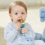 Food Feeder Manufacturer - BPA Free Fresh Fruit Feeder