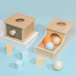 Wooden Toy Manufacturer - Tray Ball Drop Box Montessori