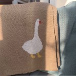 Cable Blanket Supplier - Ins Hot Sale Soft Cute Design