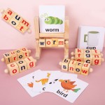 Building Blocks Manufacturer - Number Letter Spelling Preschool