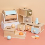 Wooden Toy Manufacturer - Tray Ball Drop Box Montessori