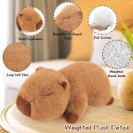 Capybara Plush Supplier - Hugging Plushie Pillow