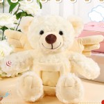 Teddy Bear Manufacturer - Recorder Picture Frame