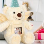 Teddy Bear Manufacturer - Recorder Picture Frame
