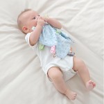 Security Blanket Manufacturer - Minky Fabric Satin