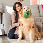 Pet Toy Factory - Holiday Wreath Stocking