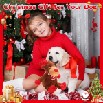 Reindeer Dog Toy Manufacturer - Christmas Squeaky