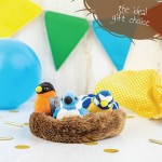 Bird Plush Toy Supplier - 3 Piece Learning Set