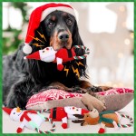 Plush Dog Toy Supplier - Christmas Squeaky Rope