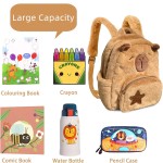 Capybara Backpack Manufacturer - Multifunction Travel