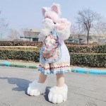 Cat Hat Supplier - Plush Earmuffs Winter