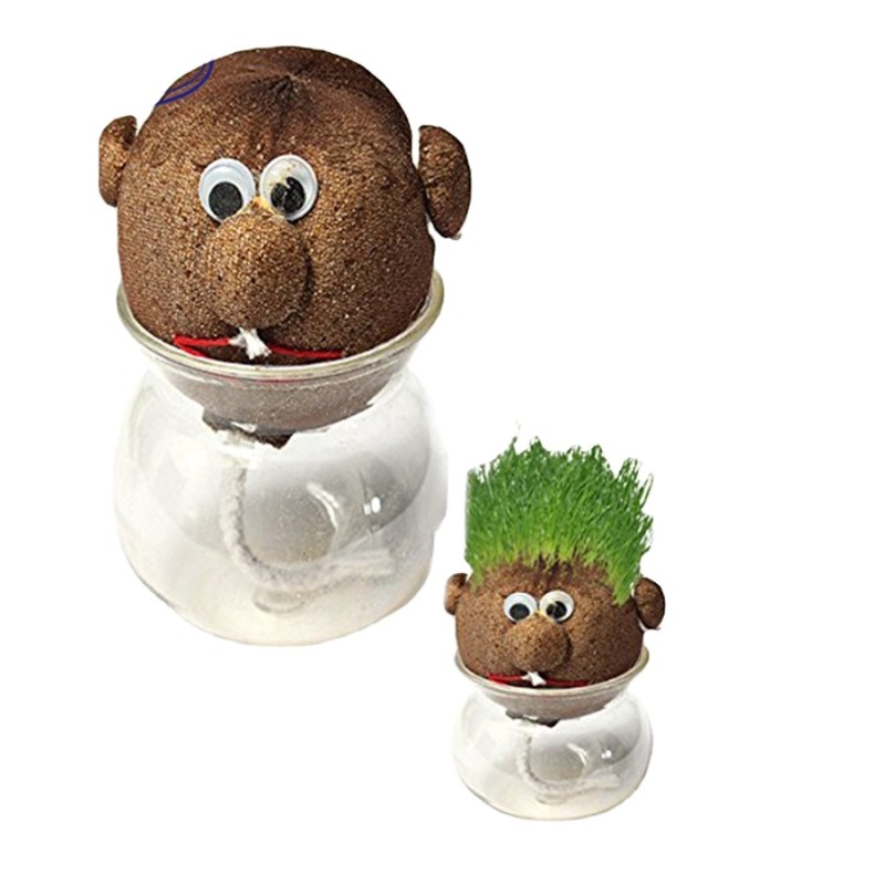 Plant Pot Supplier - Magic Grass Head Doll