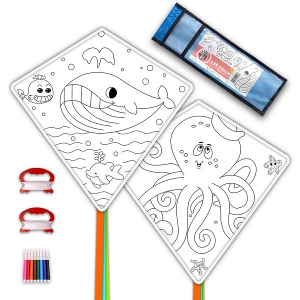 Kite Manufacturer - DIY Kids Craft Outdoor