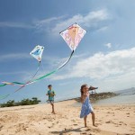 Kite Manufacturer - DIY Kids Craft Outdoor