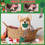 Plush Dog Toy Supplier - Christmas Squeaky Rope