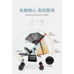 Baby Stroller Manufacturer - High Quality Aluminum Frame Foldable