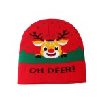 Knitted Beanie Manufacturer - Customizable Cotton Reflective Skull