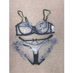 Lace Underwear Supplier - 2024 Assorted Color Transparent Design