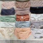 Full Panties Factory - 2025 Pinky Lady Custom Color L-XXL