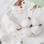 Children Underwear Supplier - Briefs Girls Antibacterial Style