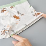 Children Underwear Supplier - Briefs Girls Antibacterial Style