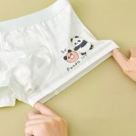 Girls Underwear Manufacturer - 4 Pairs 7A Antibacterial